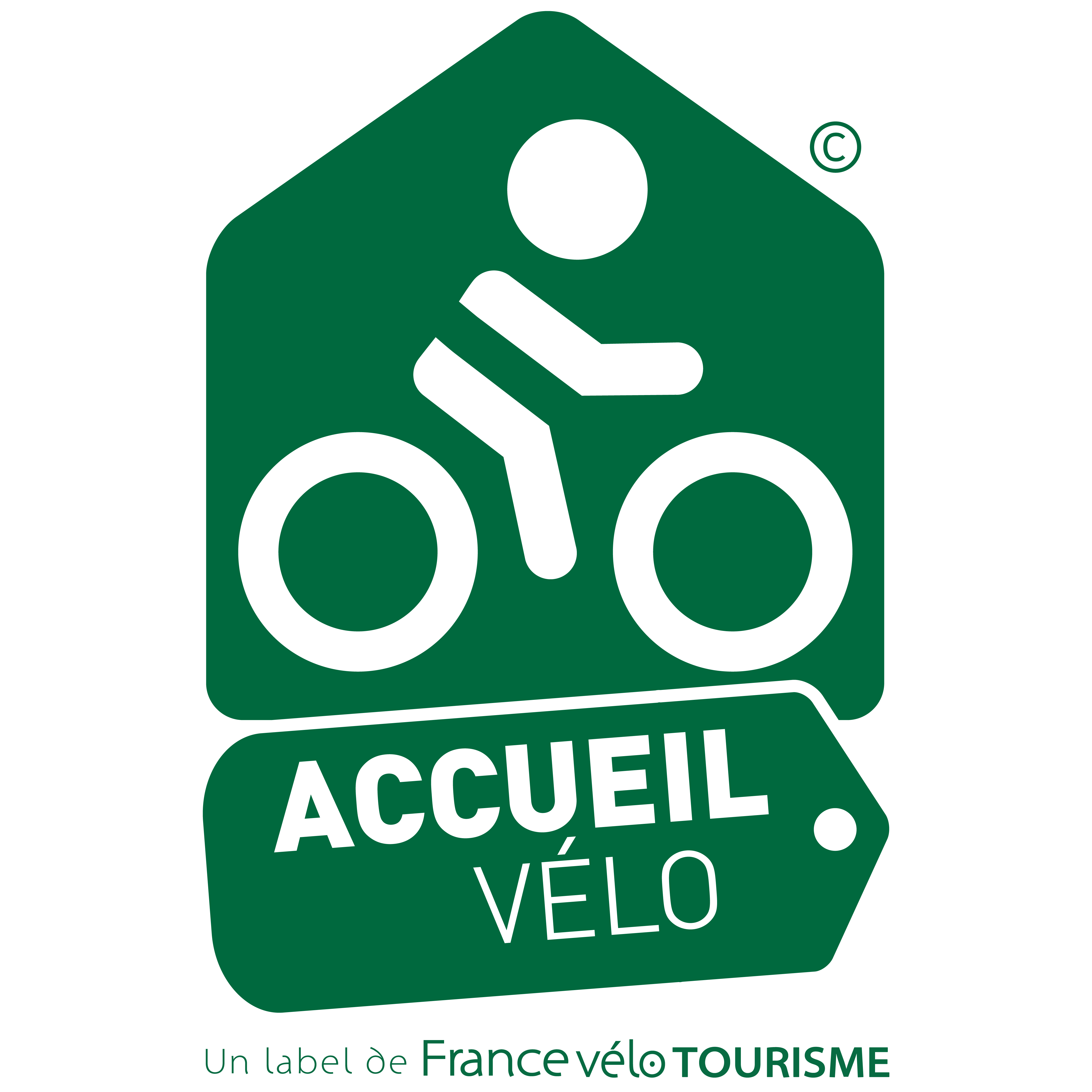 Acceiul logo