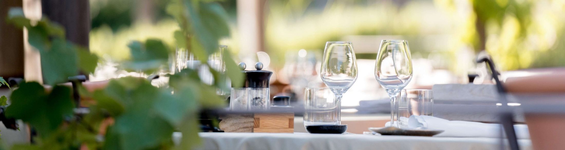 restaurant traditionnel bistrot les vignes et son jardin, hotel coquillade provence dans le luberon à gargas