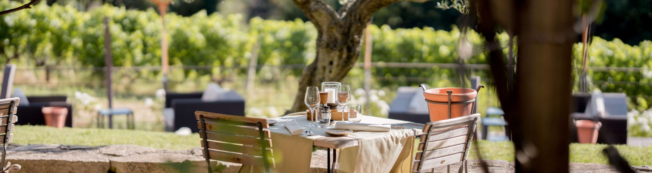restaurant traditionnel bistrot les vignes et son jardin, hotel coquillade provence dans le luberon &agrave; gargas