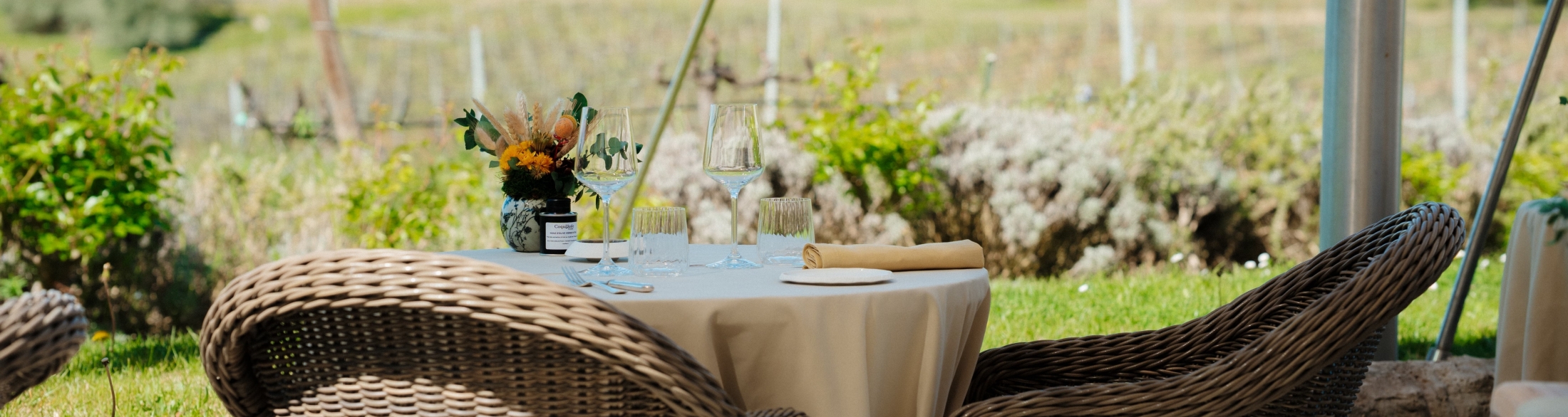 traditional restaurant bistrot les vignes and its garden, hotel coquillade provence in the luberon at gargas