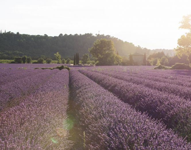 sound of provence